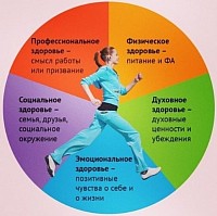 Wellness